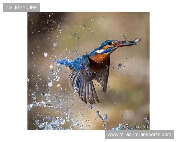 运动“精彩快递”：瞬间捕捉“爆炸性”精彩瞬间！