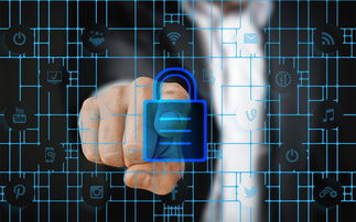 米兰官方网站-赛事风险管理体系，体育赛事风险管理的主要内容